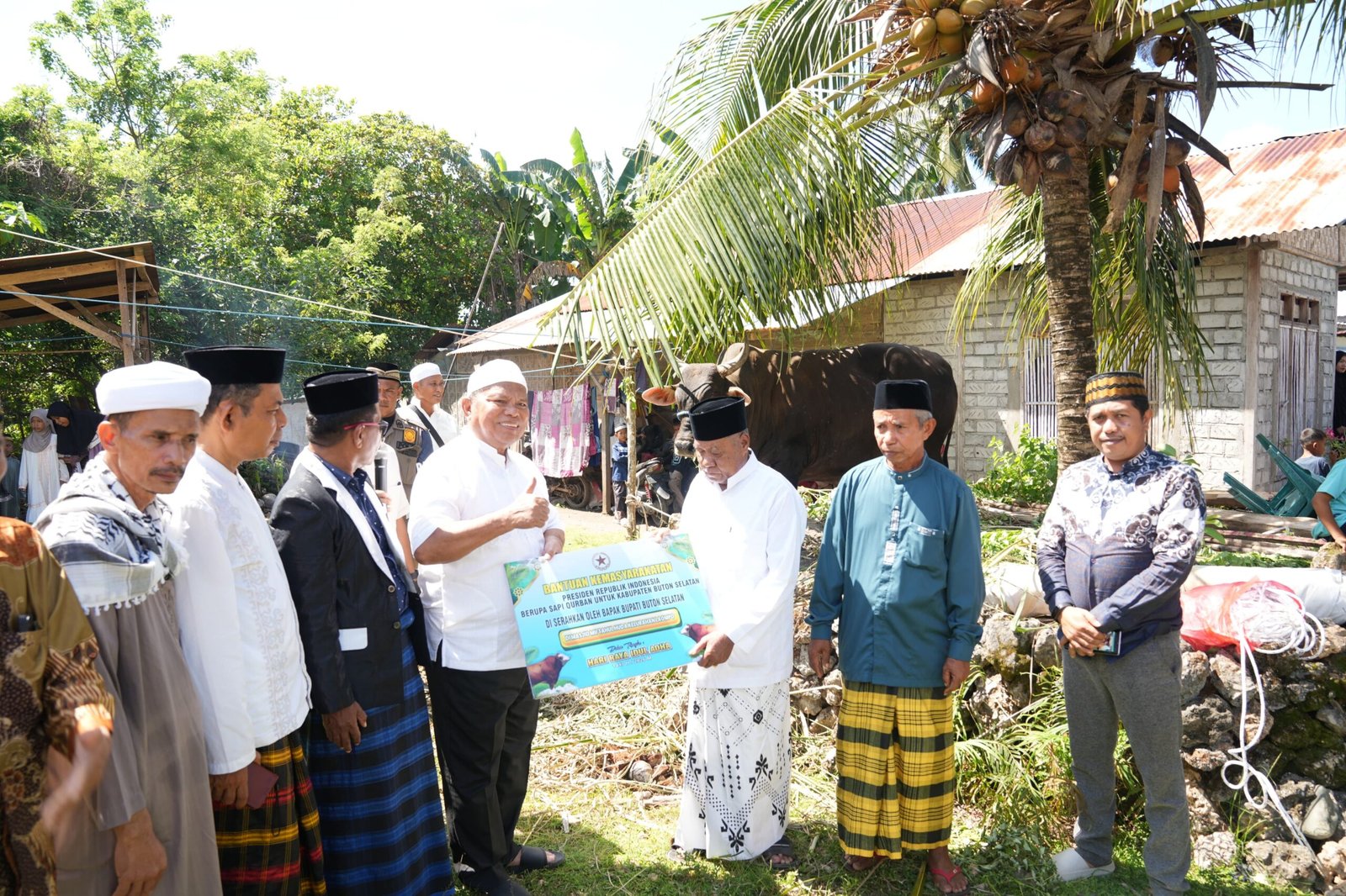 Bupati Buton Selatan Serahkan Sapi Presiden Ke Pengurus Masjid