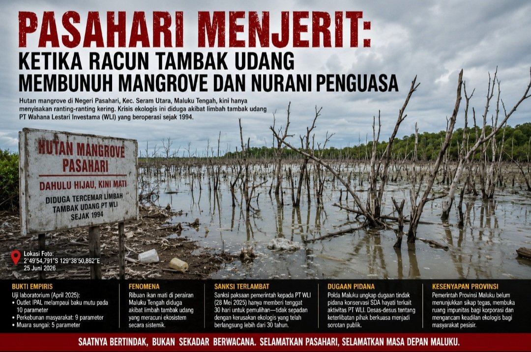 Pasahari Menjerit: Ketika Racun Tambak Udang Membunuh Mangrove dan Nurani Penguasa